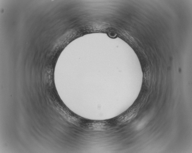 X0000062870462200602031721