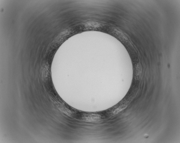 X0000062870463200602031721