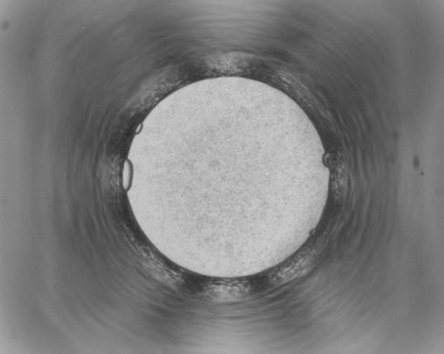 X0000062870466200602031721