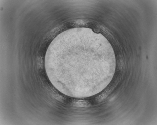 X0000062870467200602031721