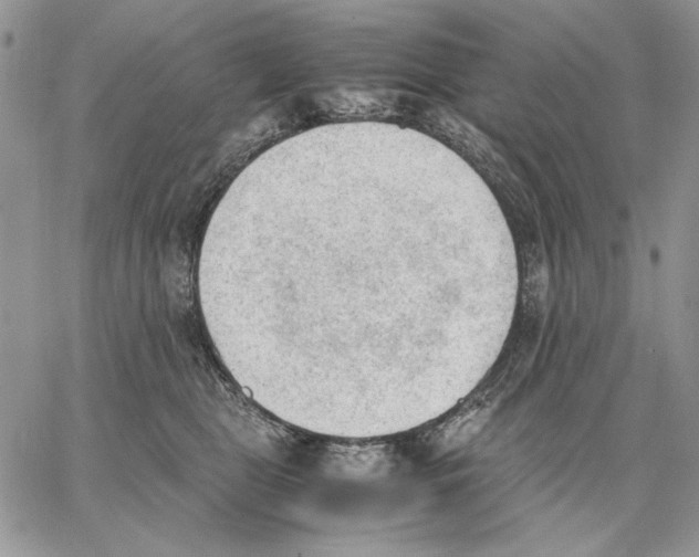 X0000062870469200602031721