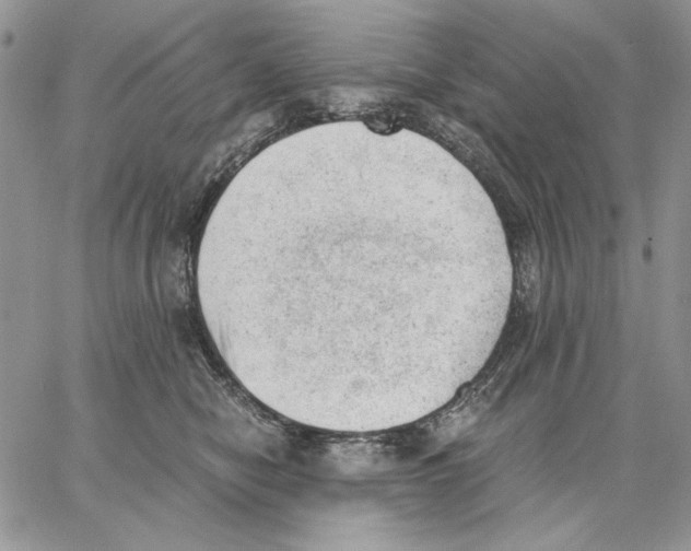 X0000062870470200602031721