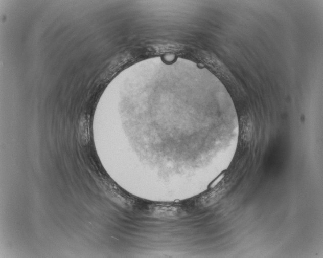 X0000062870471200602031721