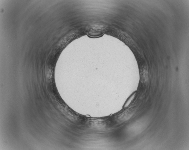 X0000062870472200602031721