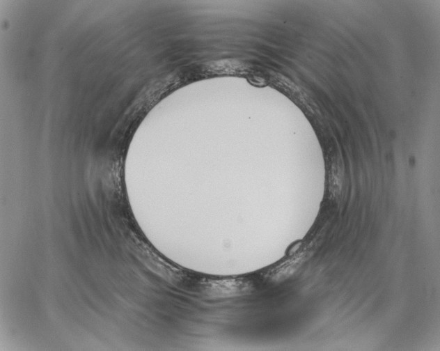 X0000062870473200602031721