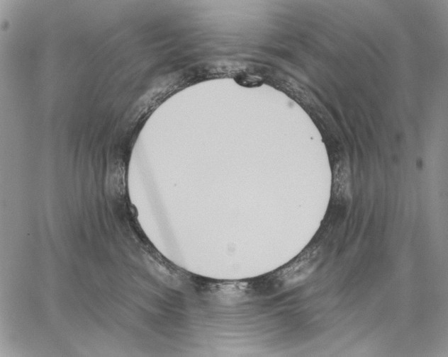 X0000062870474200602031721