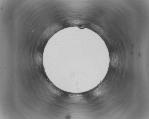 X0000062870476200602031721