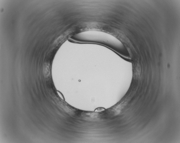 X0000062870478200602031721