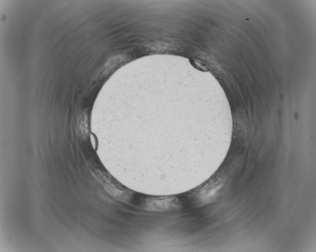 X0000062870479200602031721