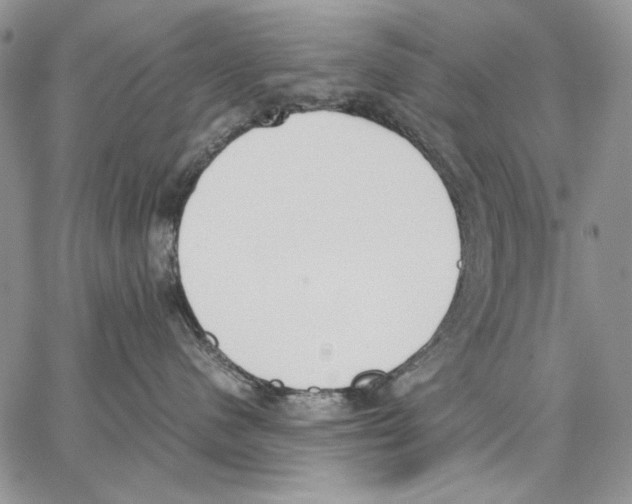 X0000062870480200602031721