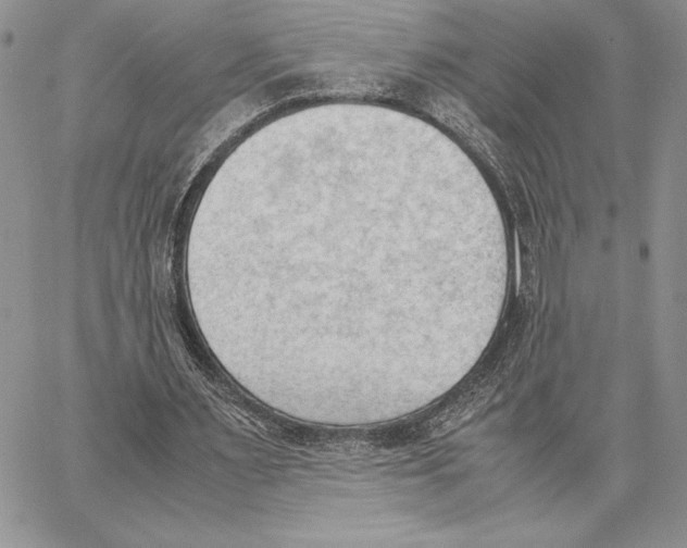 X0000062870483200602031720