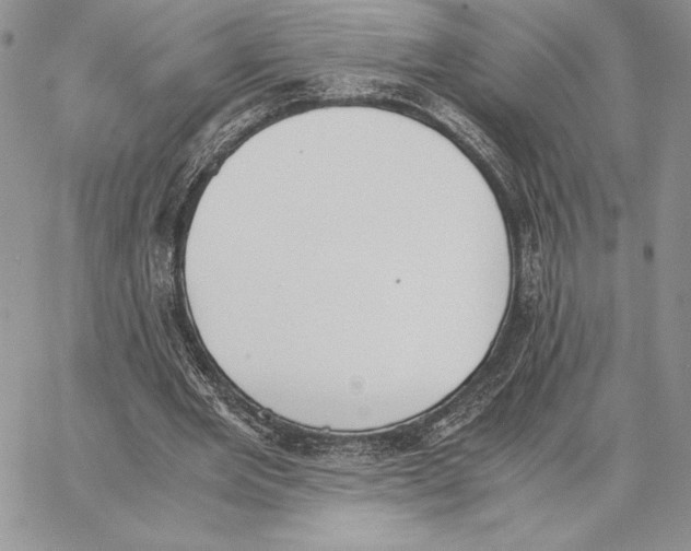 X0000062870485200602031720