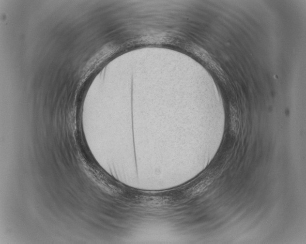 X0000062870486200602031720