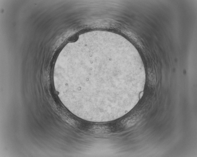 X0000062870487200602031720