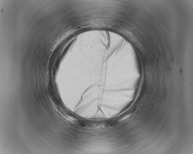 X0000062870488200602031720