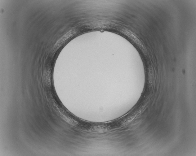 X0000062870489200602031720