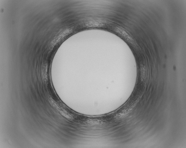 X0000062870490200602031720