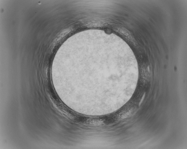 X0000062870491200602031720