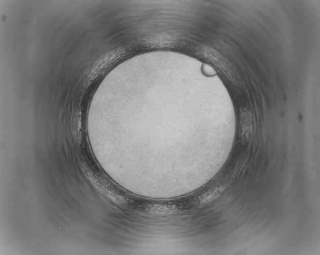 X0000062870494200602031720