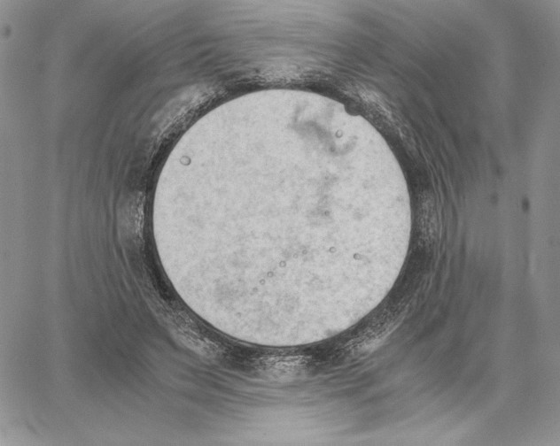 X0000062870495200602031720