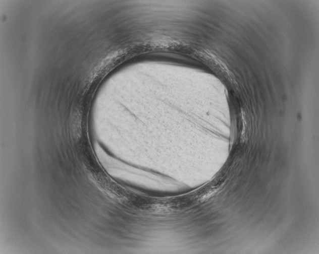 X0000062870496200602031720