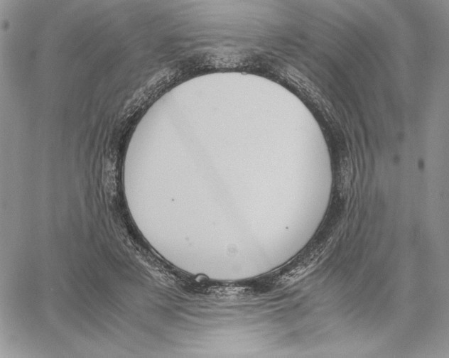 X0000062870497200602031720