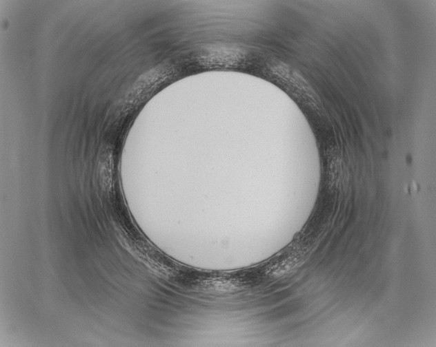 X0000062870498200602031720