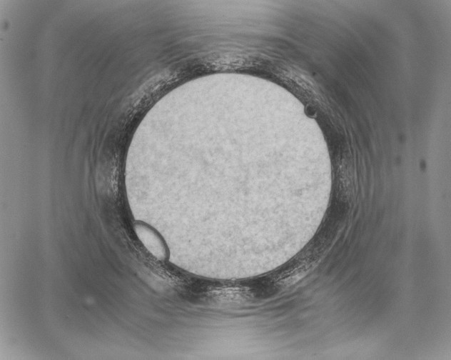 X0000062870499200602031720