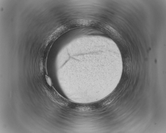 X0000062870500200602031720