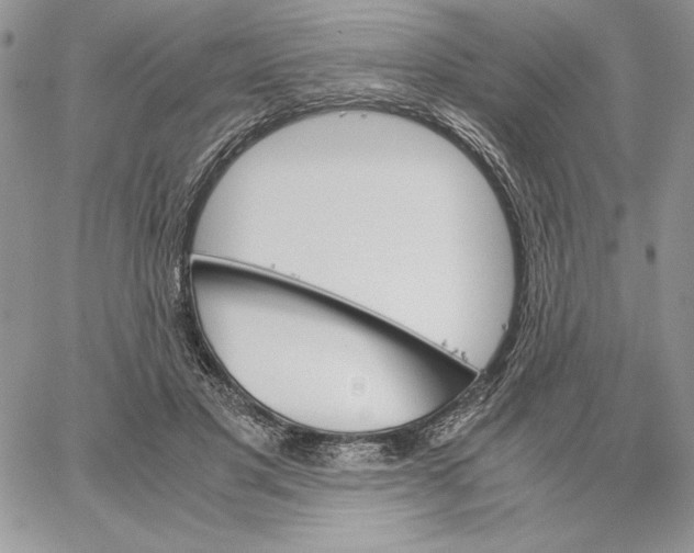 X0000062870501200602031720