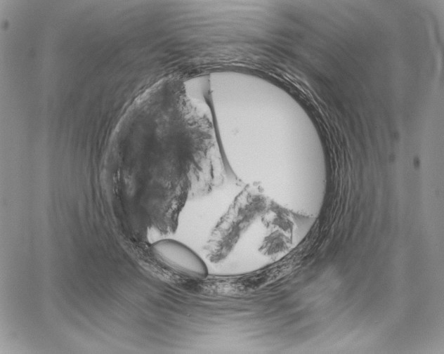 X0000062870503200602031720