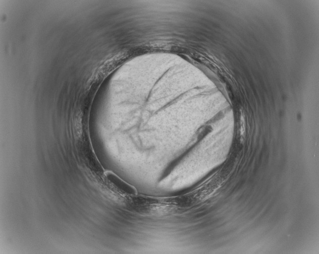 X0000062870504200602031720