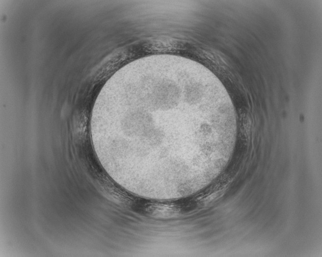 X0000062870507200602031720