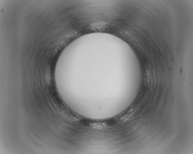 X0000062870508200602031720