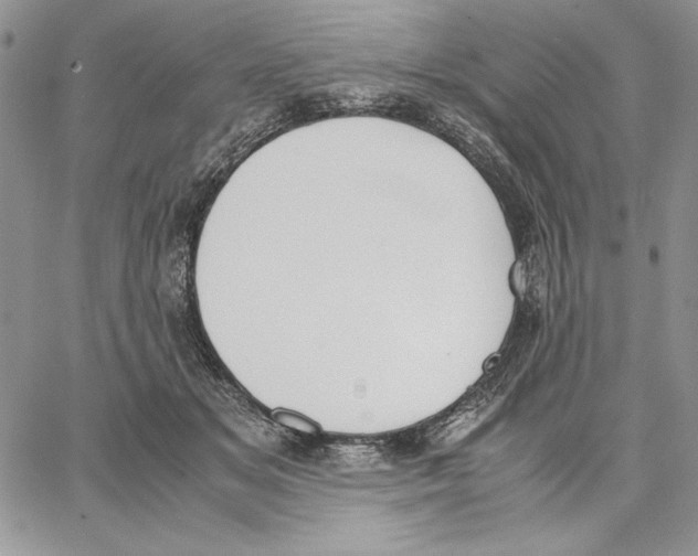 X0000062870509200602031720