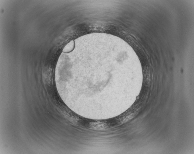 X0000062870511200602031720