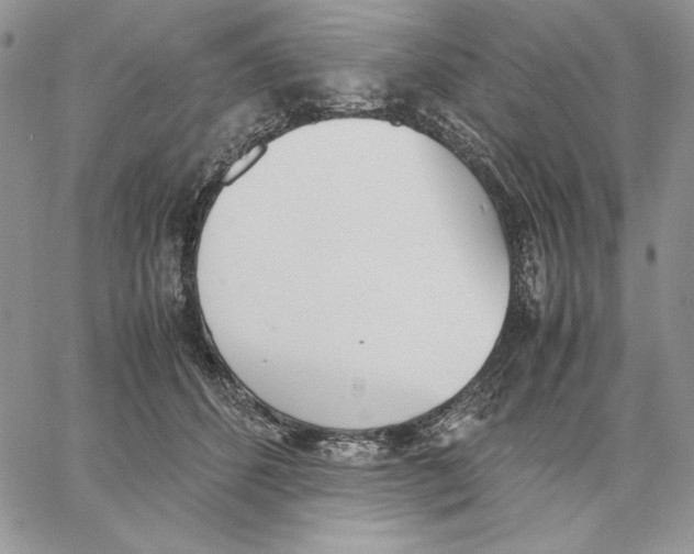 X0000062870512200602031720