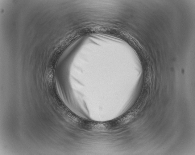 X0000062870513200602031720