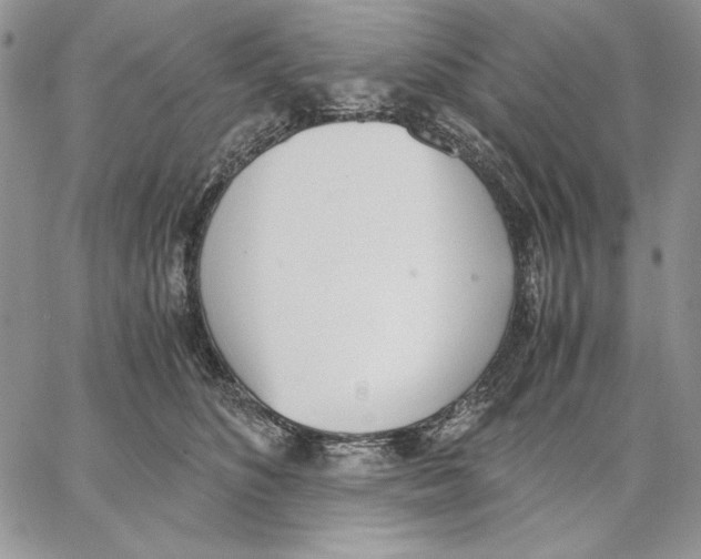 X0000062870516200602031720