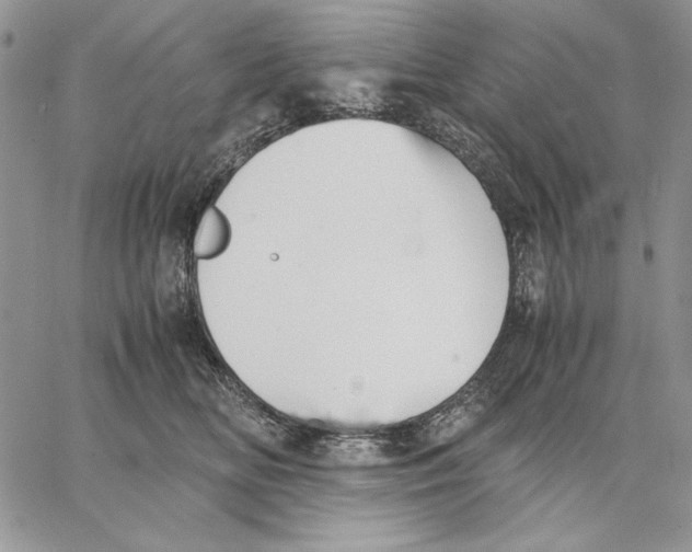 X0000062870518200602031720