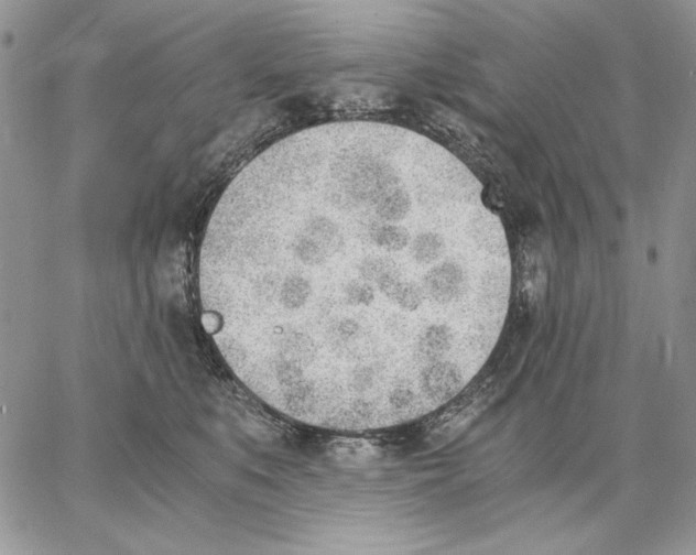 X0000062870519200602031720