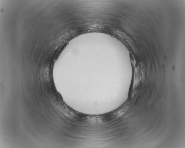 X0000062870520200602031720