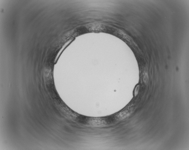 X0000062870521200602031720