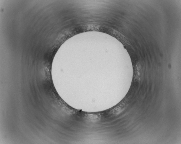 X0000062870522200602031720