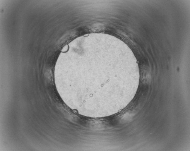 X0000062870523200602031720