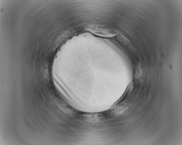 X0000062870524200602031720