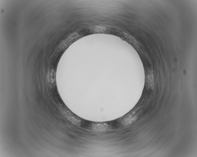 X0000062870525200602031720