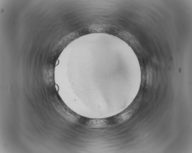 X0000062870526200602031720