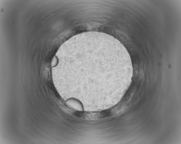 X0000062870527200602031720