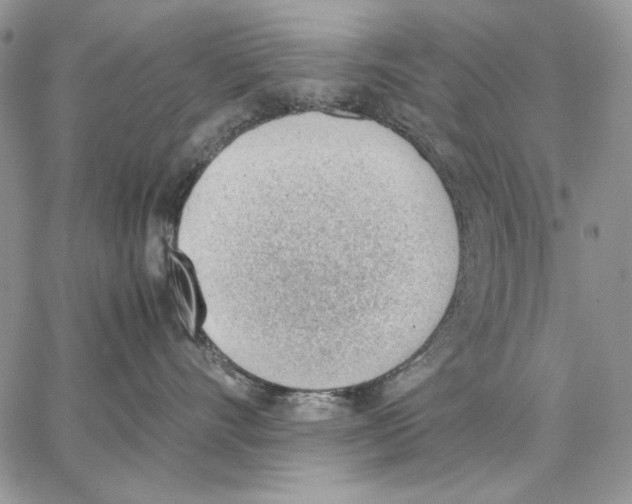 X0000062870528200602031720